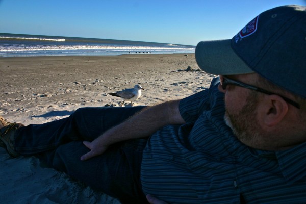 Gull with Todd 1 Cocoa Beach Feb 2010 Cocoa Beach photos, gull photos