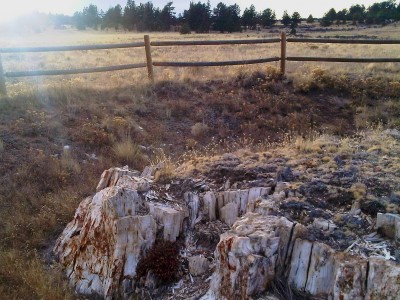 Beth Partin's photos
