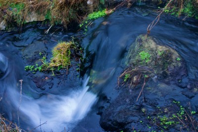 Beth Partin's photos, water shots