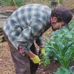 living wage, artists and farmers