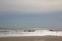 Chincoteague beach fall 2012