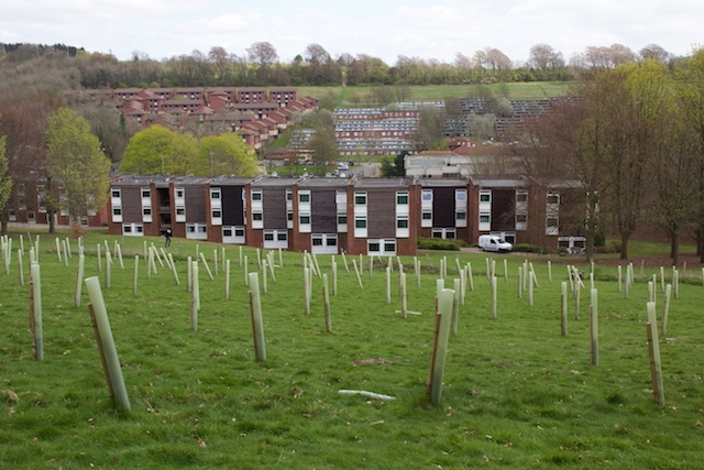 East Slope and Brighthelm from above Park Village, University of Sussex ...