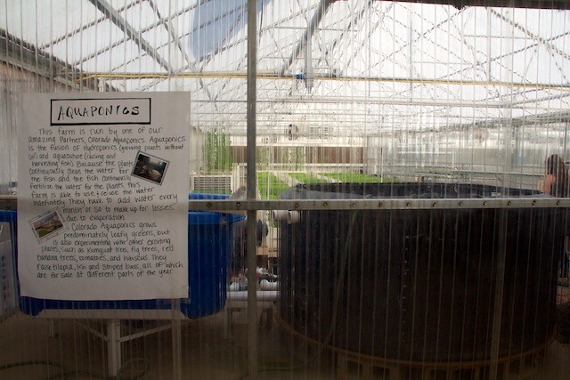 Growhaus Colorado Aquaponics farm Dec 2014