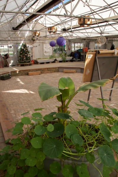 Growhaus GrowAsis meeting space Dec 2014