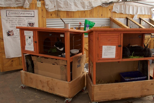 Growhaus bunnies and compost bins Dec 2014