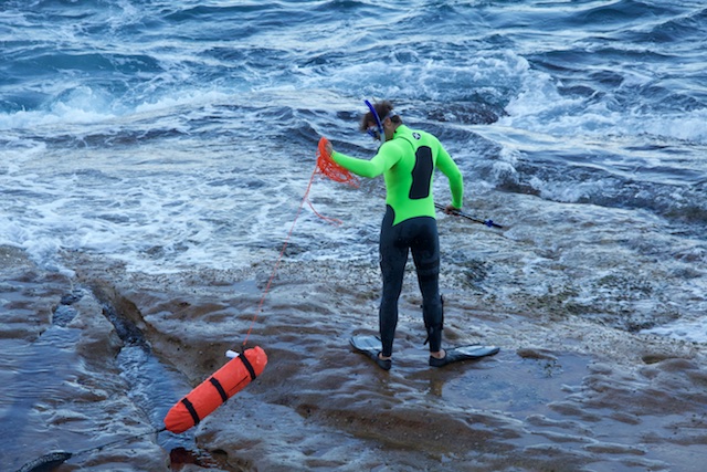 Bondi Beach to Bronte walk, spear fisher, Sydney, Sept 2015