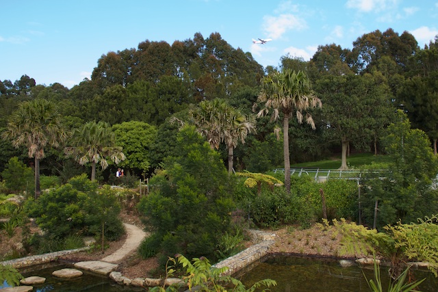 Sydney Park restoration with plane, Sept 2015
