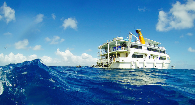 Reef Encounter.