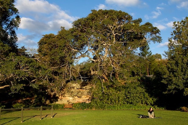 Woman on lawn at Botanic Gardens, Sydney, Sept 2015
