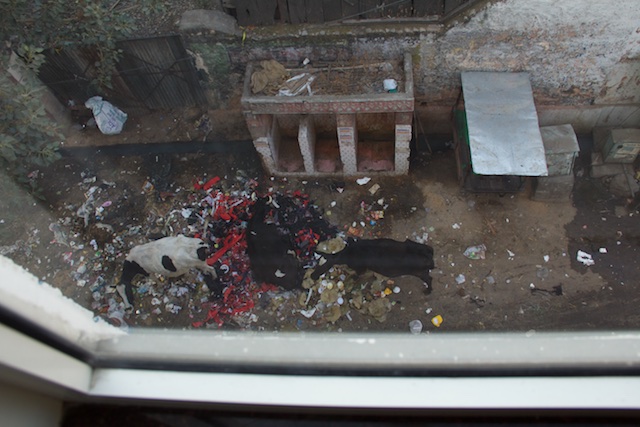 Taj Mahal Pandya Niwas Hotel public urinal Agra Dec 2015