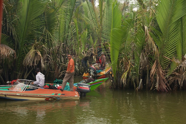 arrest-of-a-rainforest-cutter-downer-maybe-kalimantan-2015-img_6747