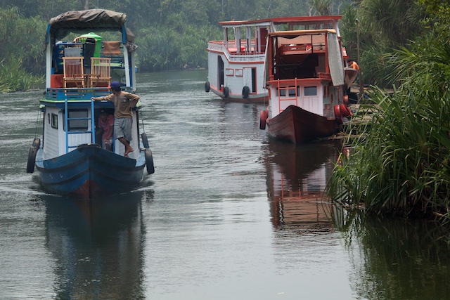 klotok-from-siti-approaching-rimba-eco-lodge-2015-img_6429