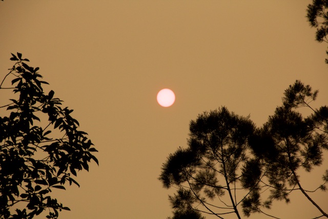 sun-during-klotok-tour-kalimantan-2015-img_6618