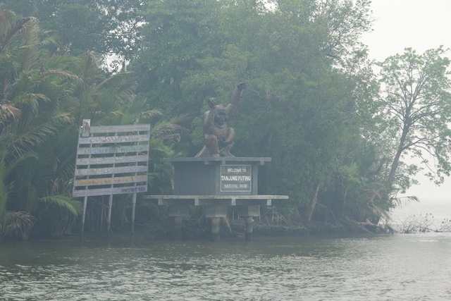 tanjung-puting-orang-statue-2015-img_6767